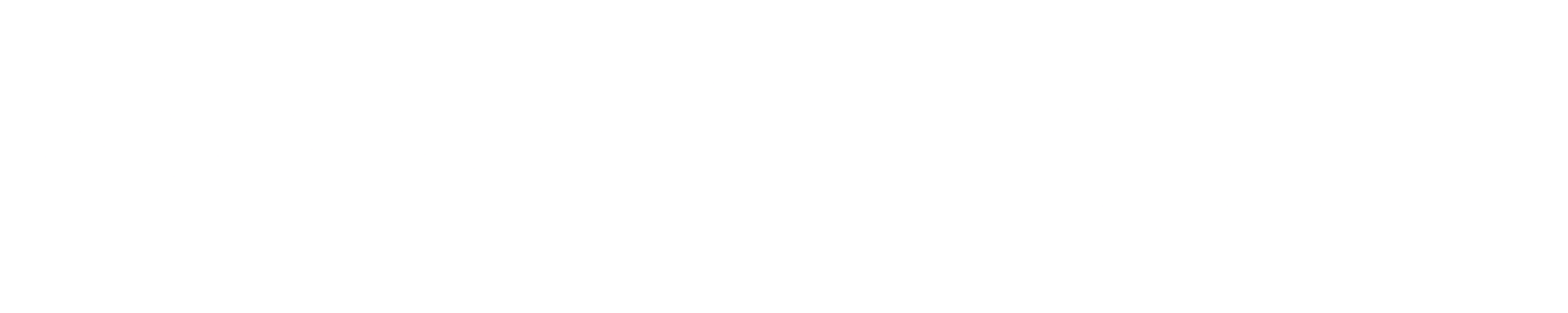 Brendan Hawk Logo